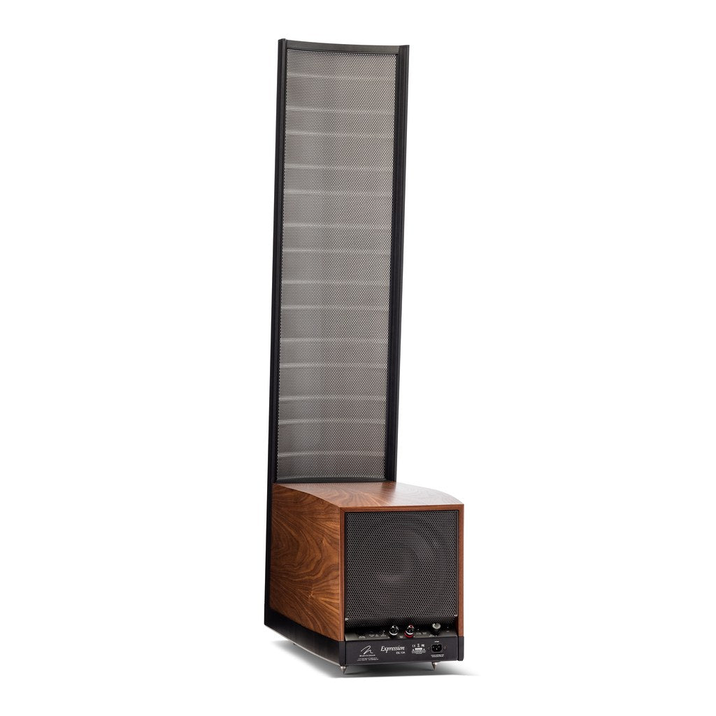 MartinLogan Expression ESL 13A