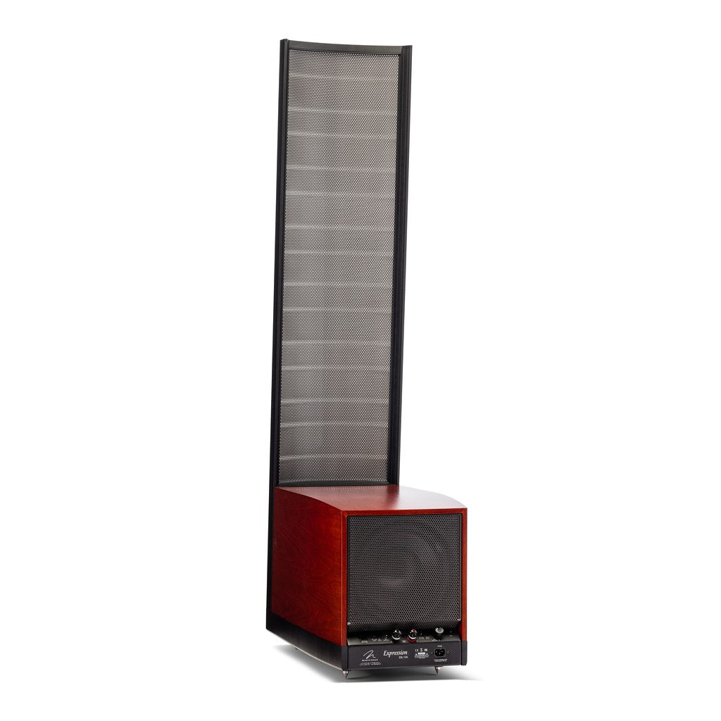 MartinLogan Expression ESL 13A