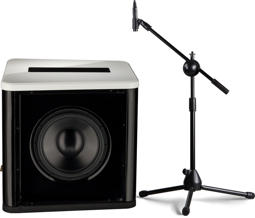 MartinLogan BalancedForce 212