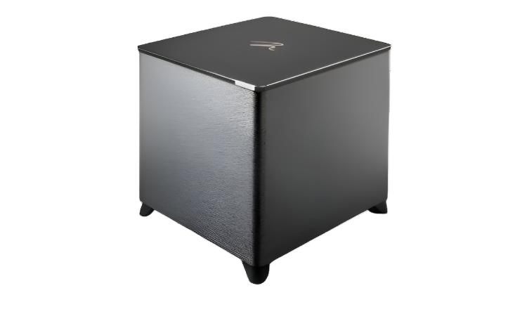 MartinLogan Dynamo Foundation 10