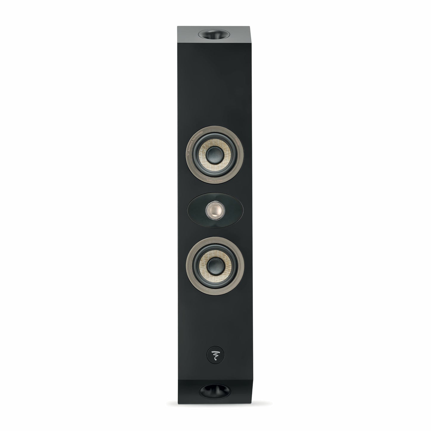 FOCAL On Wall 301