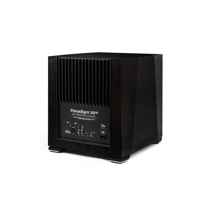 Paradigm XR 13